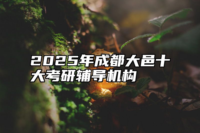 2025年成都大邑十大考研辅导机构