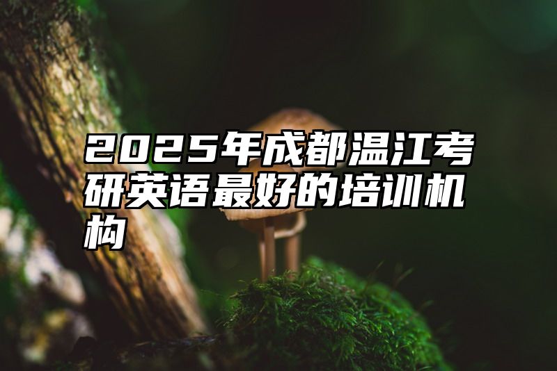 2025年成都温江考研英语最好的培训机构