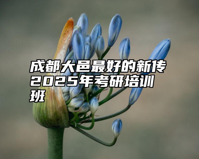 点击查看《成都大邑最好的新传2025年考研培训班》全文