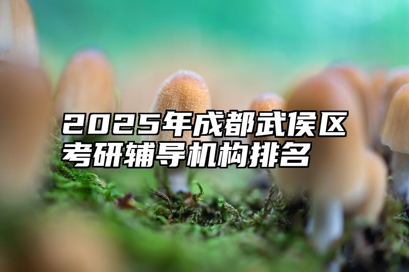 2025年成都武侯区考研辅导机构排名