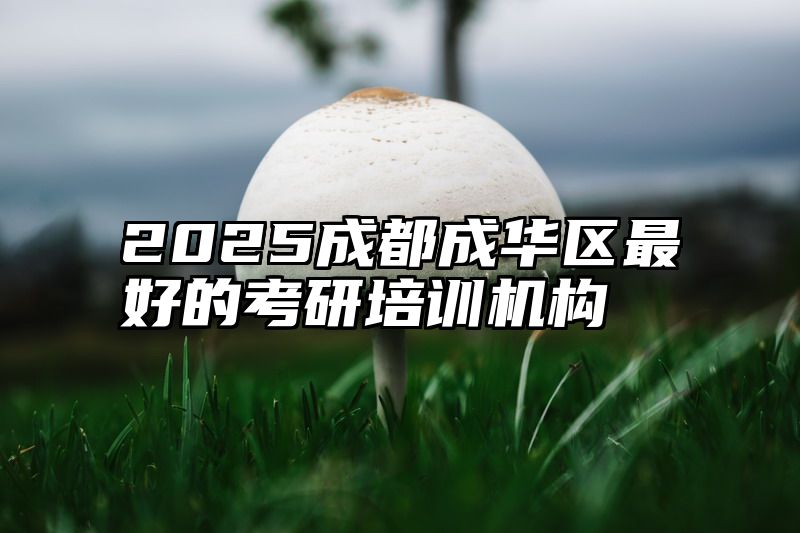 2025成都成华区最好的考研培训机构