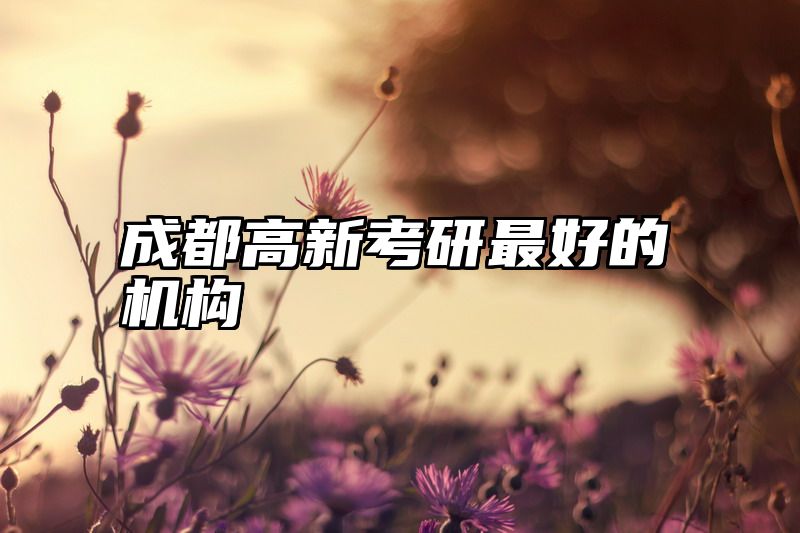 成都高新考研最好的机构