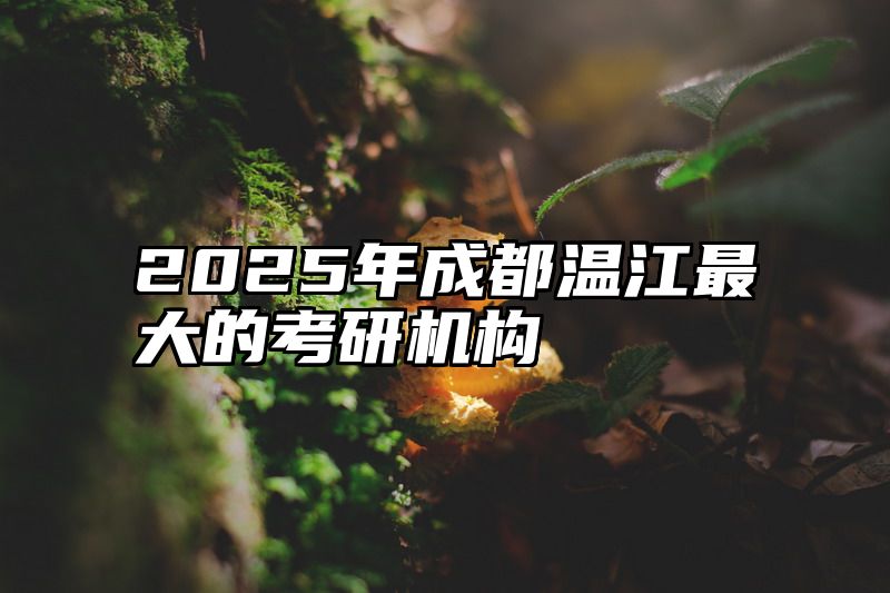 2025年成都温江最大的考研机构