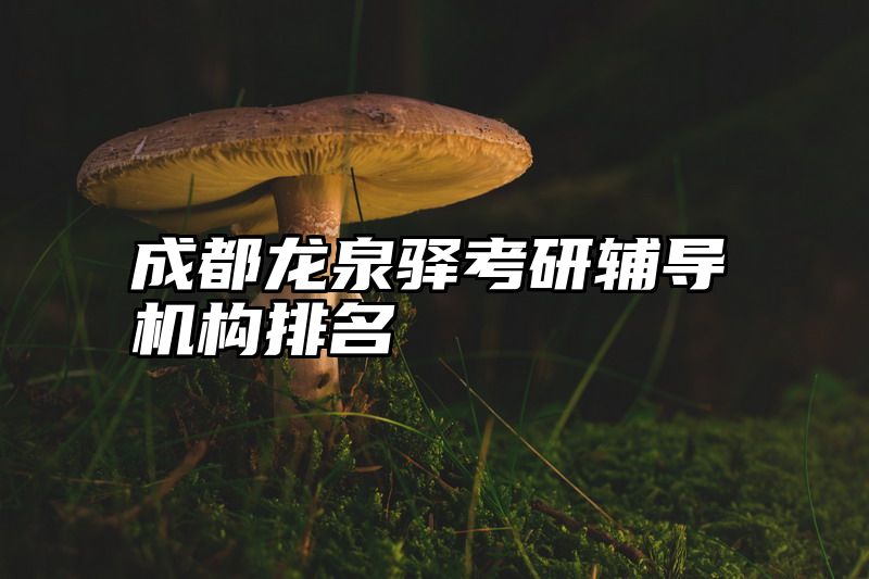 成都龙泉驿考研辅导机构排名