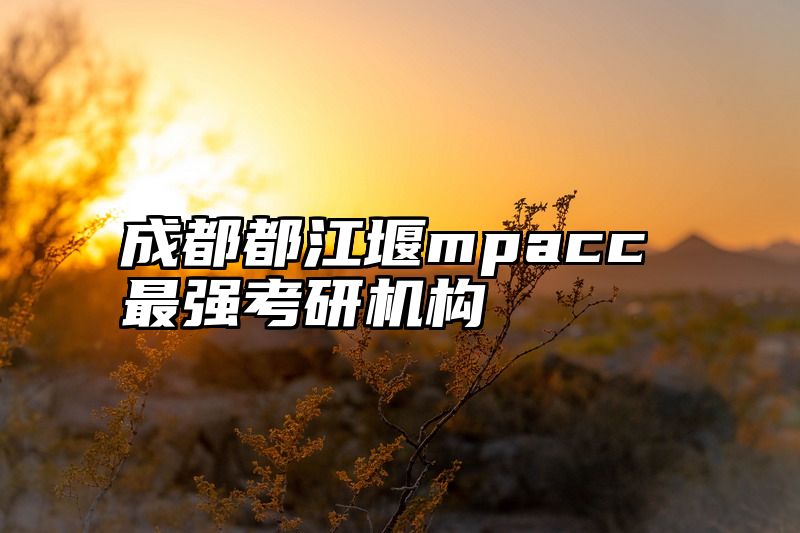 成都都江堰mpacc最强考研机构