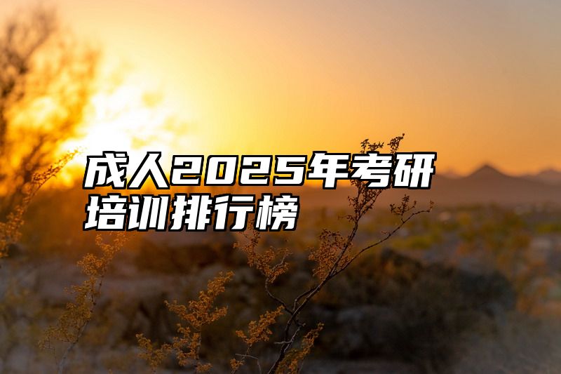 成人2025年考研培训排行榜