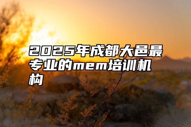 2025年成都大邑最专业的mem培训机构