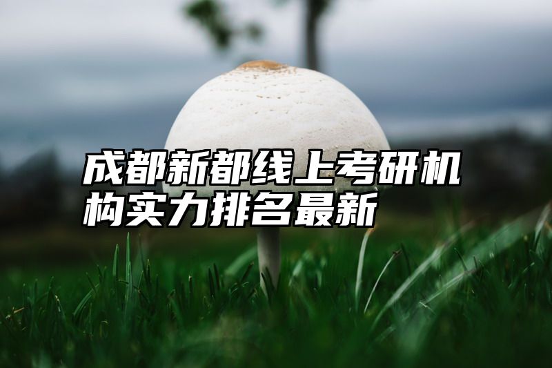 成都新都线上考研机构实力排名最新