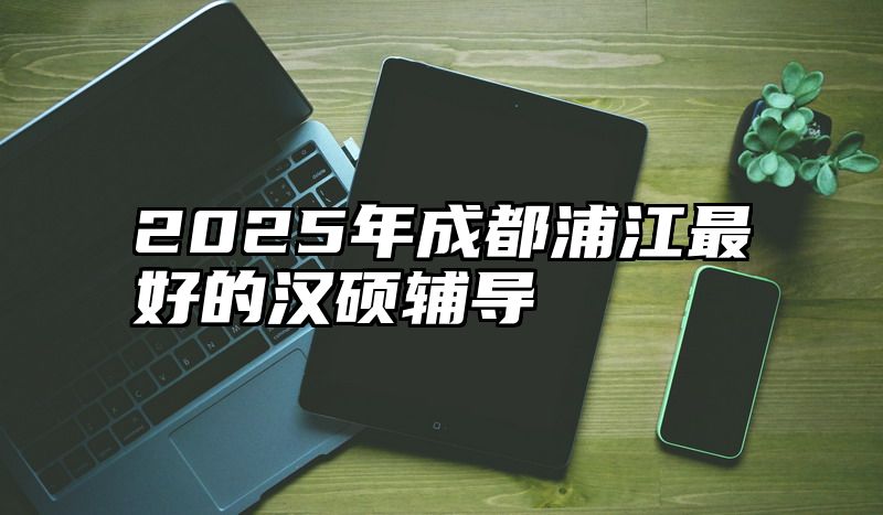 2025年成都浦江最好的汉硕辅导