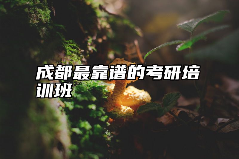 成都最靠谱的考研培训班