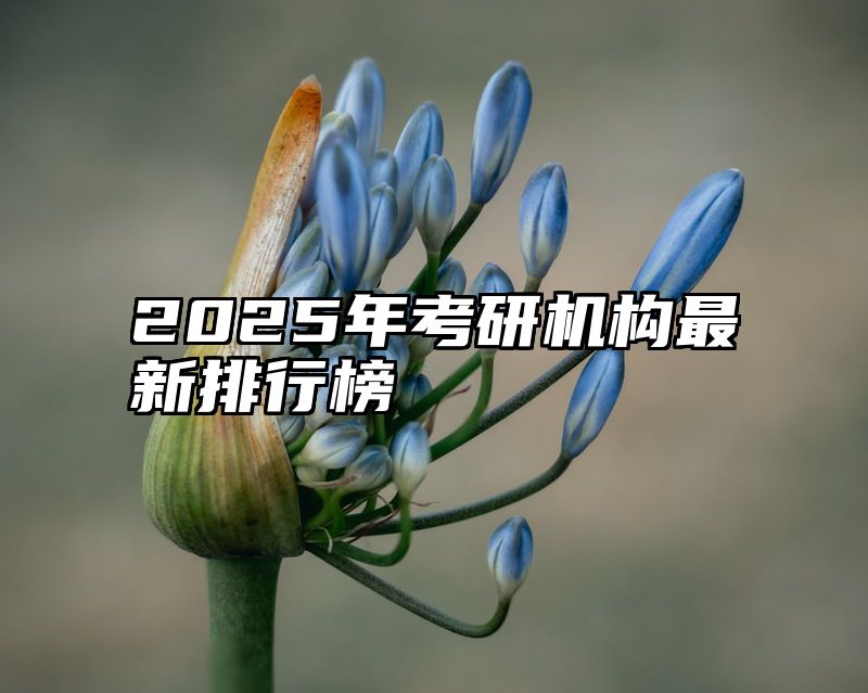 2025年考研机构最新排行榜