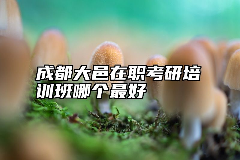 成都大邑在职考研培训班哪个最好