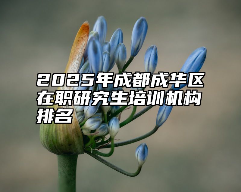 2025年成都成华区在职研究生培训机构排名