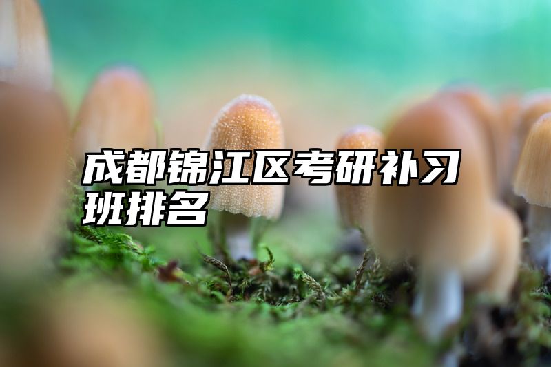 成都锦江区考研补习班排名