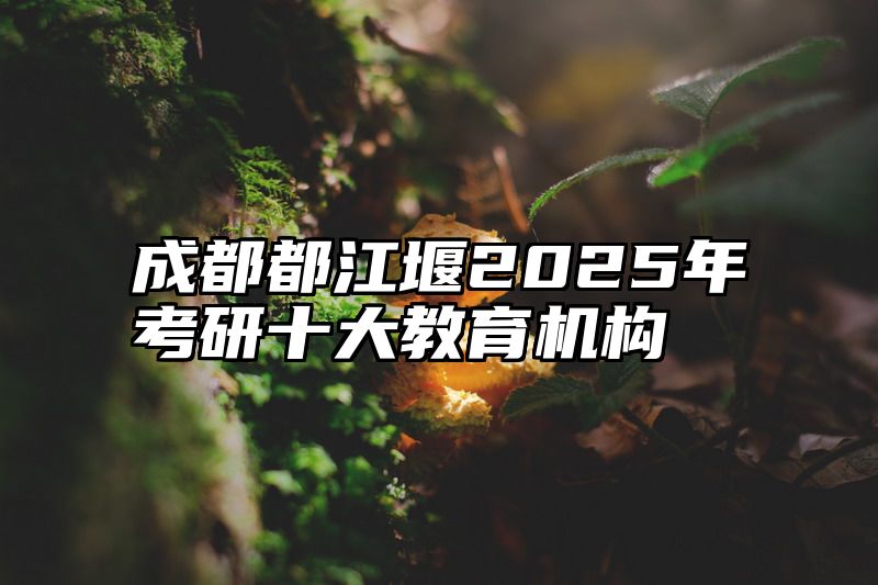 成都都江堰2025年考研十大教育机构
