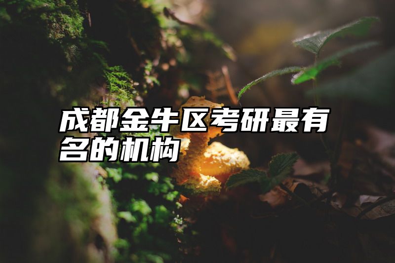 成都金牛区考研最有名的机构