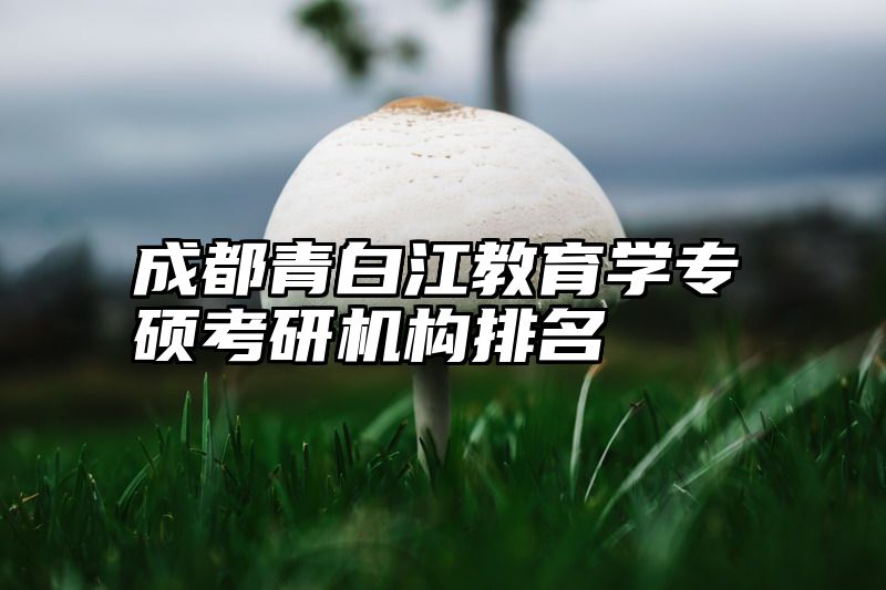 成都青白江教育学专硕考研机构排名