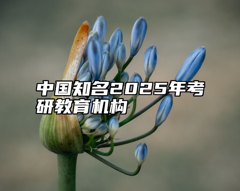 中国知名2025年考研教育机构