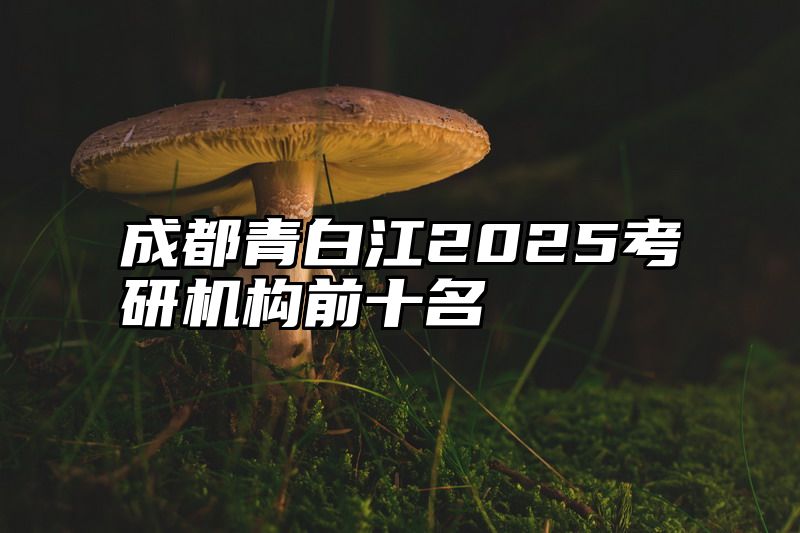 成都青白江2025考研机构前十名