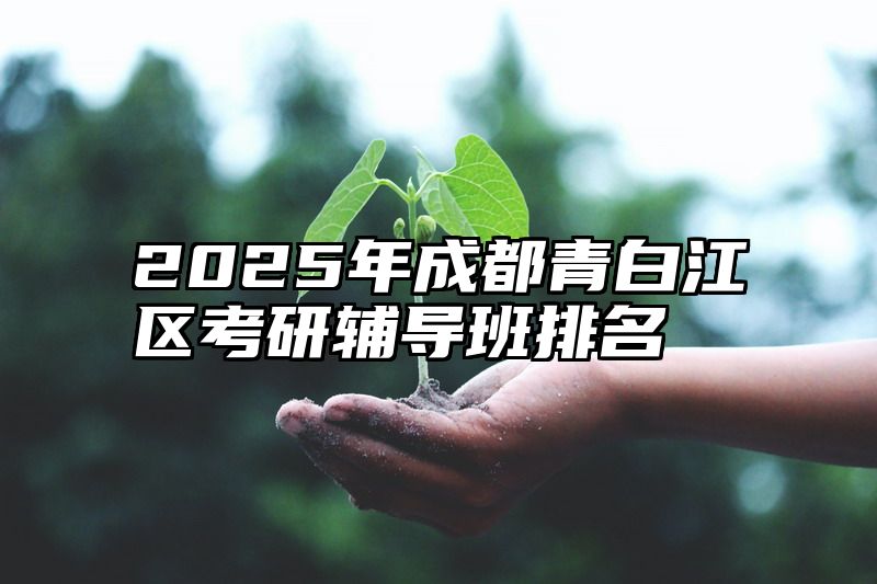 2025年成都青白江区考研辅导班排名