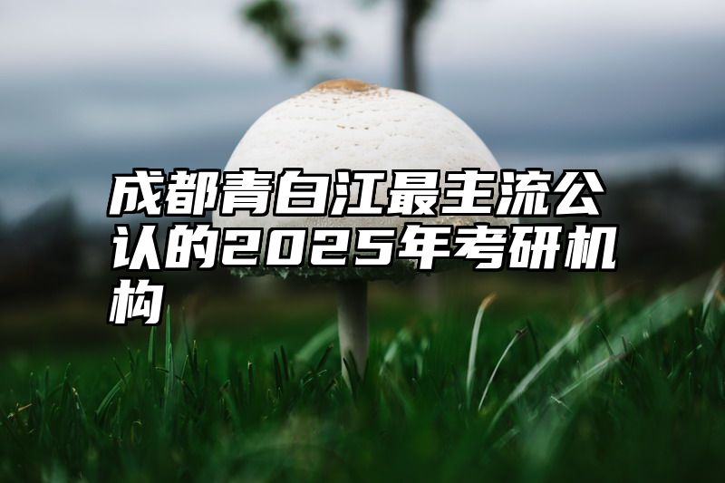 成都青白江最主流公认的2025年考研机构
