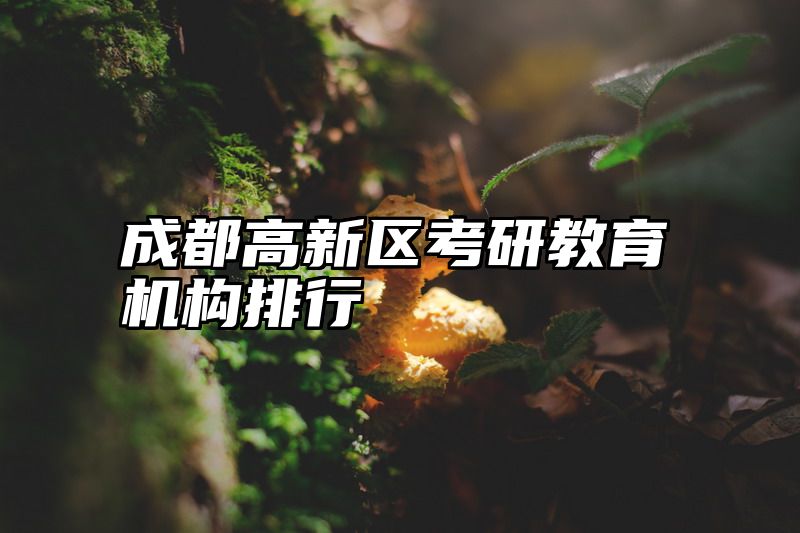 成都高新区考研教育机构排行
