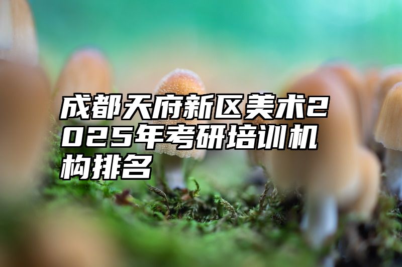 成都天府新区美术2025年考研培训机构排名