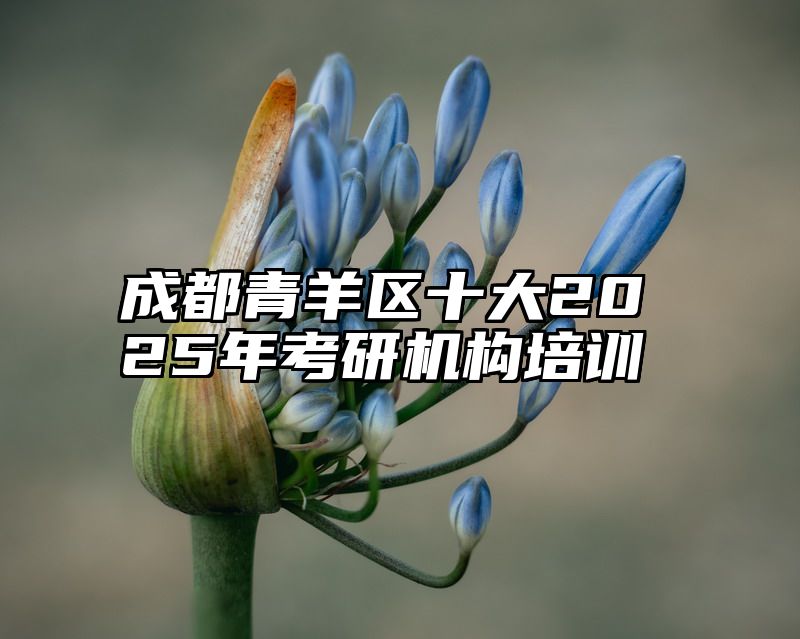 成都青羊区十大2025年考研机构培训