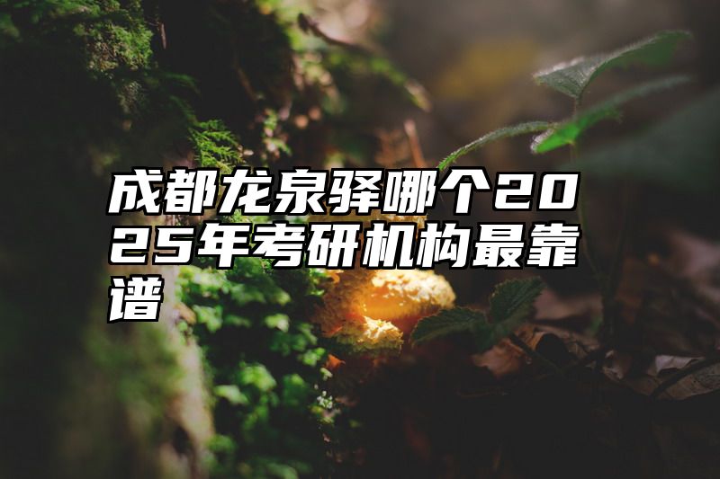 成都龙泉驿哪个2025年考研机构最靠谱