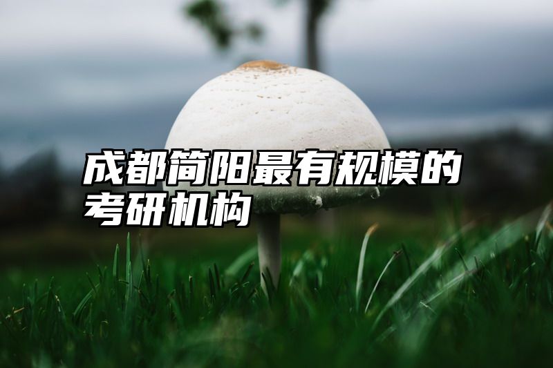 成都简阳最有规模的考研机构