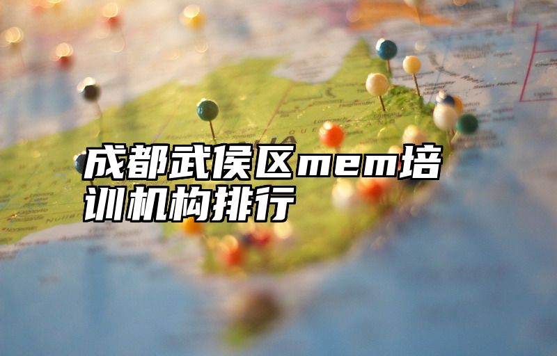 成都武侯区mem培训机构排行
