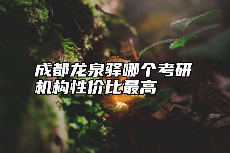 成都龙泉驿哪个考研机构性价比最高