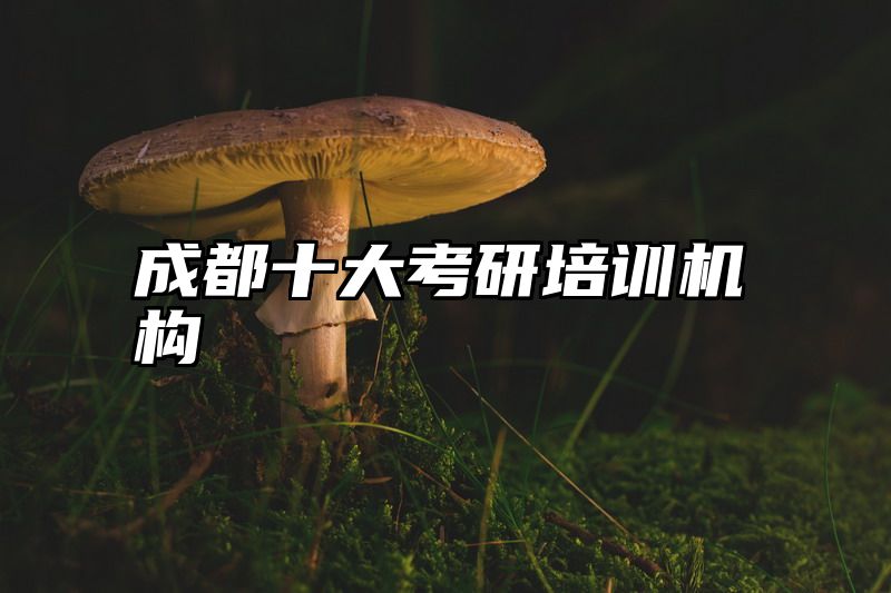 成都十大考研培训机构