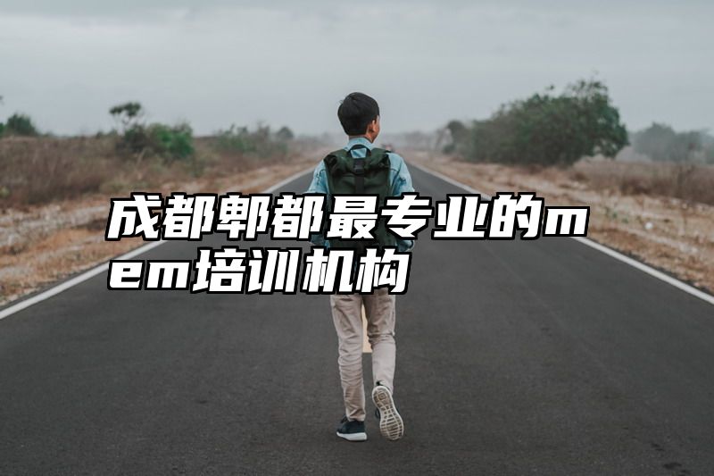 成都郫都最专业的mem培训机构