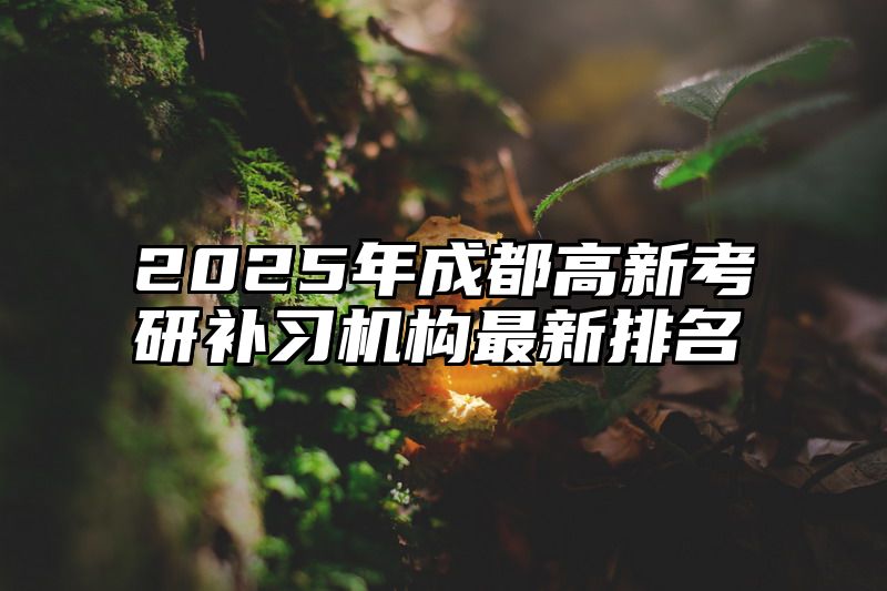 2025年成都高新考研补习机构最新排名