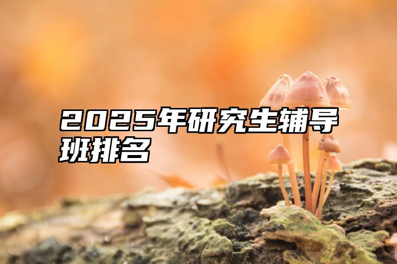 2025年研究生辅导班排名