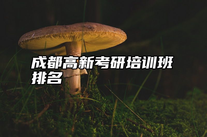 成都高新考研培训班排名