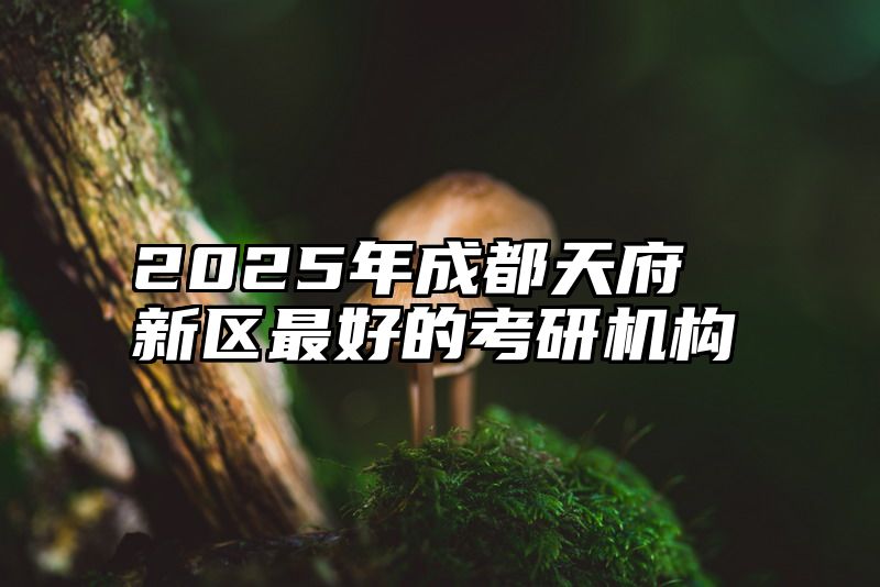 2025年成都天府新区最好的考研机构