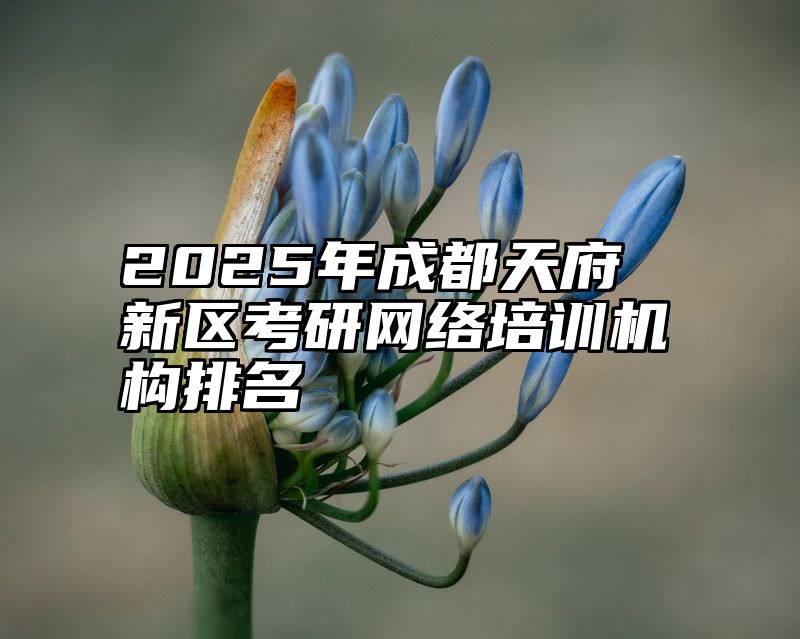 2025年成都天府新区考研网络培训机构排名