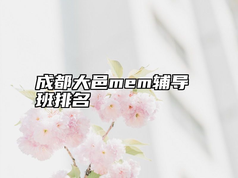 成都大邑mem辅导班排名
