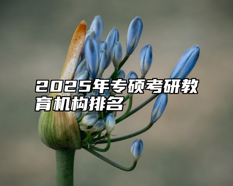 2025年专硕考研教育机构排名