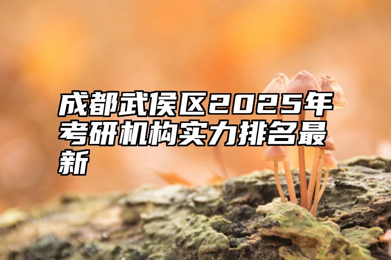 成都武侯区2025年考研机构实力排名最新