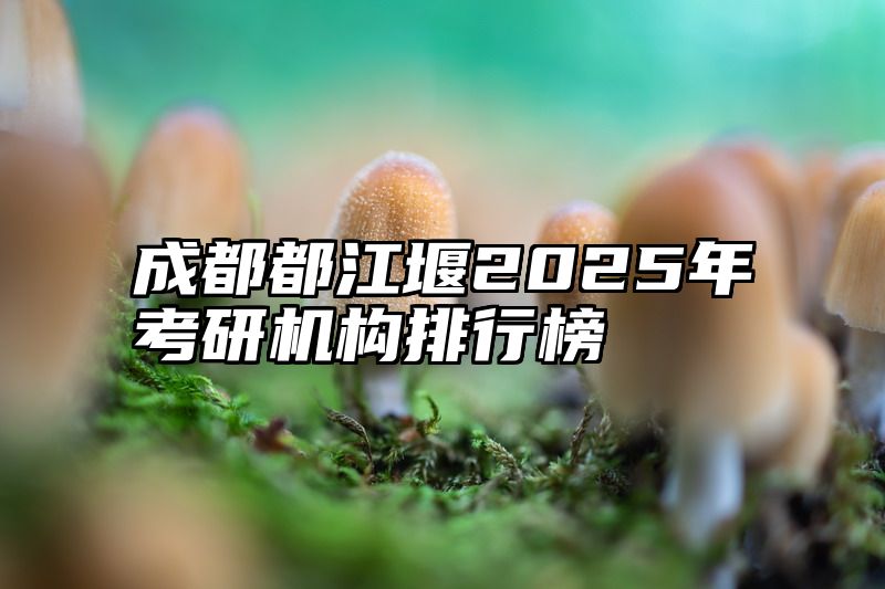 成都都江堰2025年考研机构排行榜