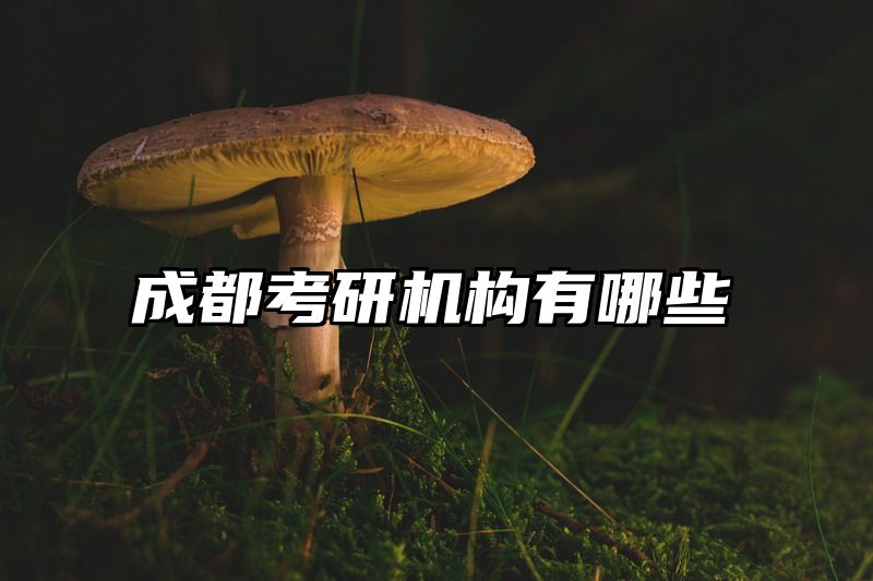 成都考研机构有哪些