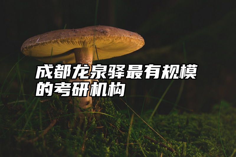 成都龙泉驿最有规模的考研机构