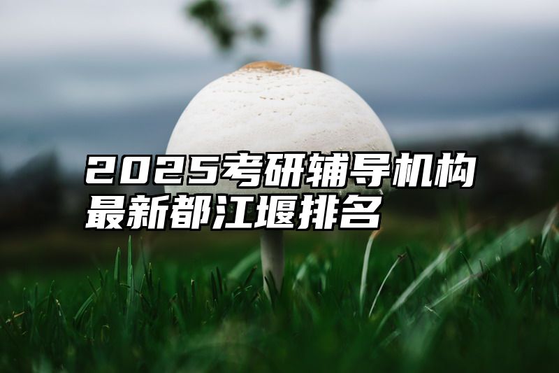 2025考研辅导机构最新都江堰排名