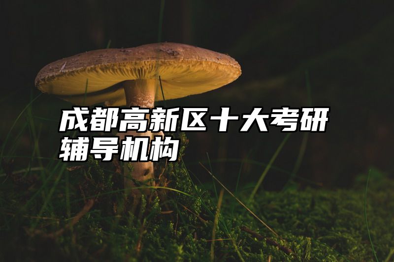 成都高新区十大考研辅导机构