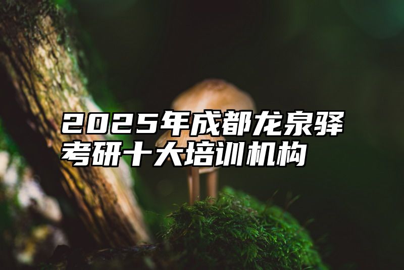 2025年成都龙泉驿考研十大培训机构