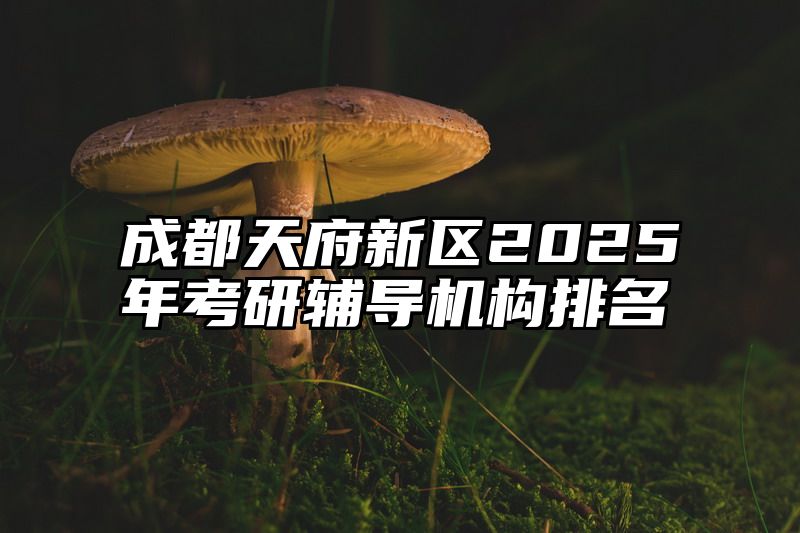 成都天府新区2025年考研辅导机构排名