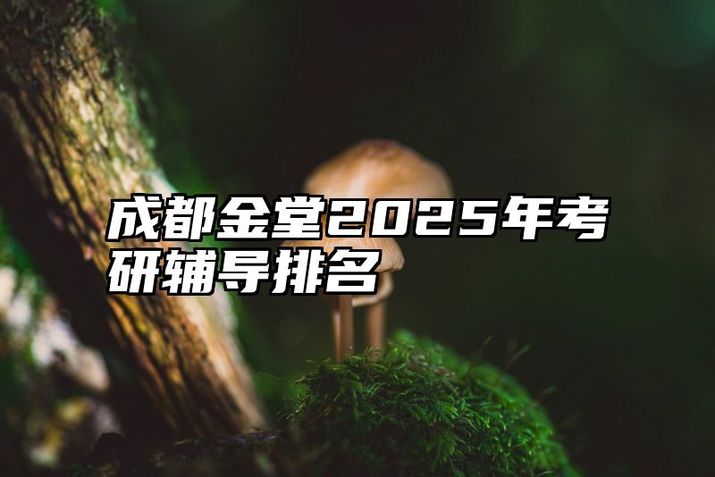 成都金堂2025年考研辅导排名